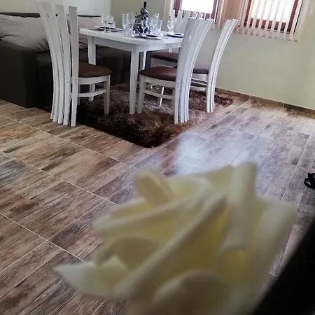 Petrov Appartement